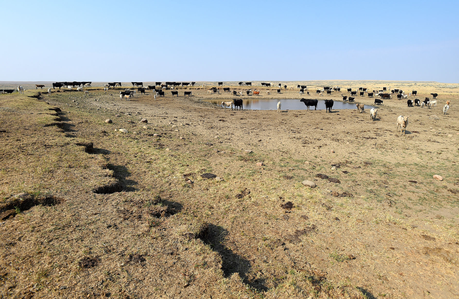 Malta drought